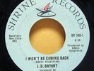 J. D. Bryant northern Rare Shrine 7