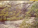 TAS ECS 746 PROKOFIEV Violin Concertos No.1 & 2 AWESOME