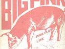 PINK FLOYD-LP- BIG PINK- LIVE
