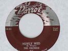 KILLER RARE ORCHIDS on PARROT 815 FREE SHPG LISTEN