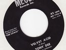 TONY DEE Velvet Acid MONSTER 1966 garage FUZZ FEST HEAR