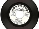 FUNK- JAMES FOUNTAIN- MY HAIR IS NAPPY- N. MINT PROMO