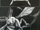 Metallica- Disposible heroes, Live at Loreley Festival
