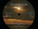RARE DISCO ASPHALT JUNGLE FREAKIN TIME 12