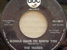 RARE SOUL 45 RPM, THE TRENDS ON ABC 45-10817