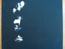 Jack Rose - Red Horse, White Mule LP (Eclipse) Pelt