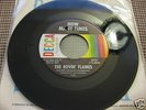Rovin' Flames Decca 45 Tampa 60's Garage Outsiders