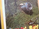 Phish Lawn Boy Sealed 1990  Absolute A Go Go only 1000