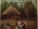 FRANCIS THE GREAT/KILLER AFRO FUNK CAMEROUN 1977 LISTEN