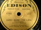 Rare Edison 78 Record Needle Type 12