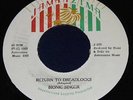 BIONIC SINGER*TUFF DIGI KILLER*RARE JAH SHAKA DUB*HEAR