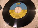 We the People Making Daydream Real FUNK SOUL Lion 164