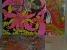 PSYCHEDELIC 12 LP BOX SET INTERNATIONAL ARTISTS SEALED