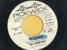 THE PRIMITIVES/ THE OSTRICH / LOU REED / GARAGE CLASSIC