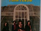 THE PINK FLOYD : THE PIPER AT THE GATES OF DOWN
