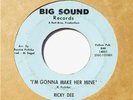 DETROIT NORTHERN SOUL 45 - Ricky Dee - BIG SOUND Label