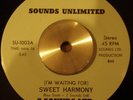7 Sounds Ltd Sweet Harmony Rare Modern 70s Soul 45 HEAR