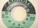 NORTHERN SOUL 45-RUBY ANDREWS-JUST LOVING YOU