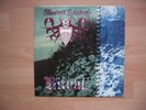 Master's Hammer - Ritual LP 1st press monitor MISSPRESS
