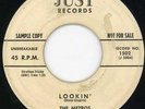 Metros-All Of My Life-Just Promo Doo Wop 45 