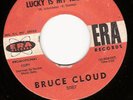 BRUCE CLOUD ERA 3087 