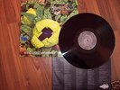 Skyclad - Irrational Anthems  LP - Guter Zustand