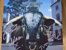 Swervedriver Mezcal Head LP *SIGNED*  shoegaze Creation