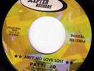 PATTI JO Ain't No Love Lost RARE 70's FUNKY MODERN SOUL