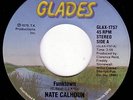 NATE CALHOUN Funktown  DISCO FUNK 45 * Listen