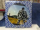 PINK FLOYD   DELICATE SOUND OF THUNDER PICTURE LP RARE
