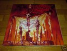 DESASTER-HELLFIRE'S DOMINION LP Aura Noir Nifelheim
