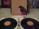 Death Cab for Cutie Transatlanticism 2 LP Sonic Boom