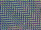 ANIMAL COLLECTIVE Merriweather Post Pavilion 2LP + MP3