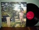 Ariel Pink The Doldrums lp Animal Collective