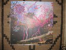 ANIMAL COLLECTIVE Here Comes the Indian LP Black Dice