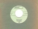 THE GAMBLERS 45 RECORD - MOON DAWG  - GREAT SURF 
