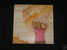 PANDA BEAR Young Prayer Vinyl LP OOP animal collective