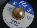 Carol Fran I'm Gonna Try R&B SOUL great mover 45 LISTEN