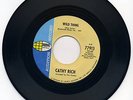 Cathy Rich Wild Thing Northern Soul garage 45 hear it