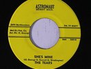 TEARS: She's Mine / Hurt 45 rare Vocal Groups