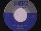 SAILOR BOY: What Have I Done Wrong 45 (blue lbl) Blues & R&B