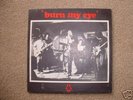 RADIO BIRDMAN - BURN MY EYE - ORIGINAL 7