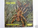 THE WEB Theraphosa Blondi Deram Monster, Stunning copy