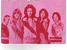 Iron Virgin Rebels Rule Glam Rock Velvet Tinmine 7