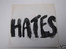 The Hates “No Talk In The Eighties” 7” Rare Punk
