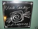BEAT HAPPENING - Black Candy K Records Indie Rock LP