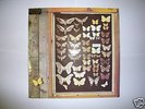 Mayfly, rare Dutch psych/folk LP 1973