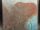PINK FLOYD...Half Speed Master...MFSL 1-190 SEALED LP