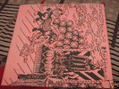 THE GOSLINGS - Between the Dead LP conspiracy OOP rare