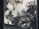 Rare Private Prog Folk Rock LP FOLLY'S POOL on Century